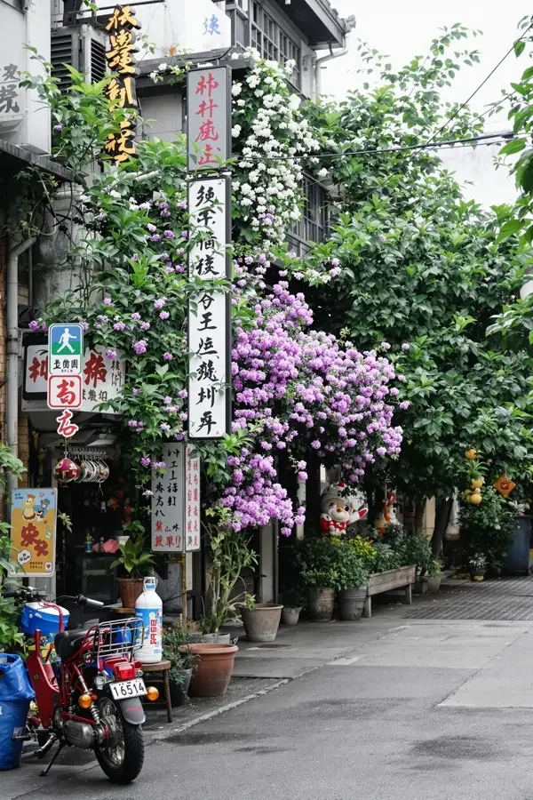 悬疑分类 - 糖豆视频 悬疑分类